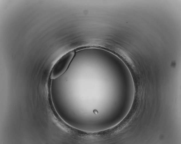 X0000090760936200707271503