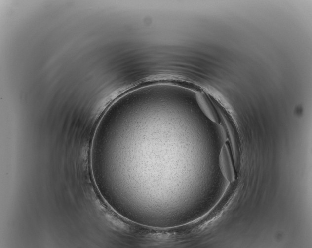 X0000090760937200707271503