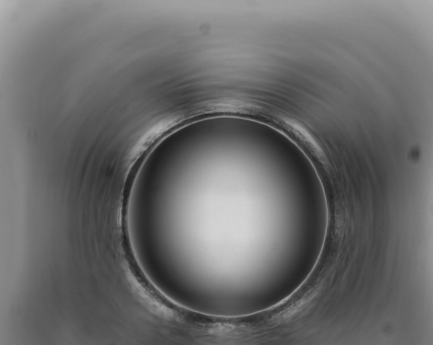 X0000090760938200707271503