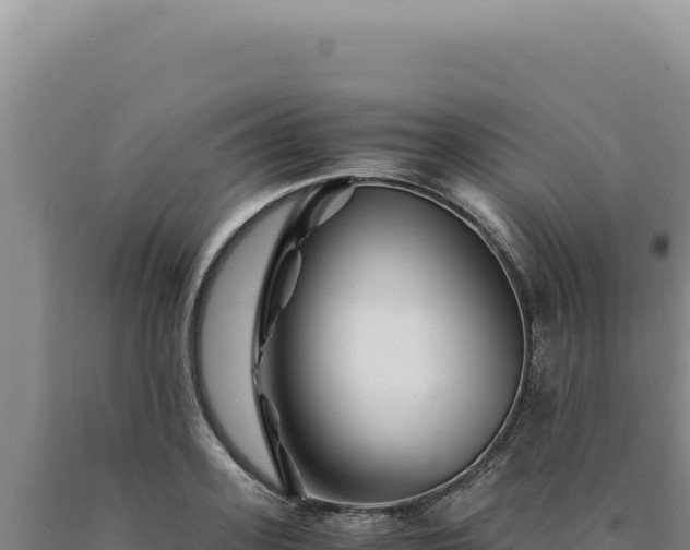 X0000090760939200707271503