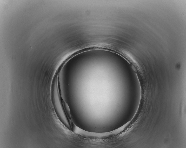 X0000090760940200707271503