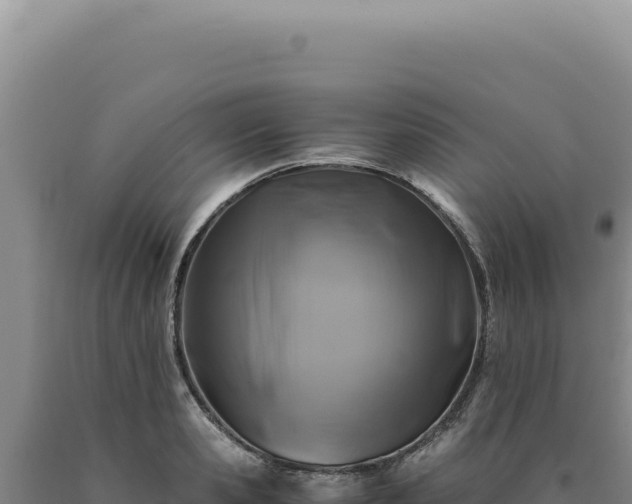 X0000090760941200707271503