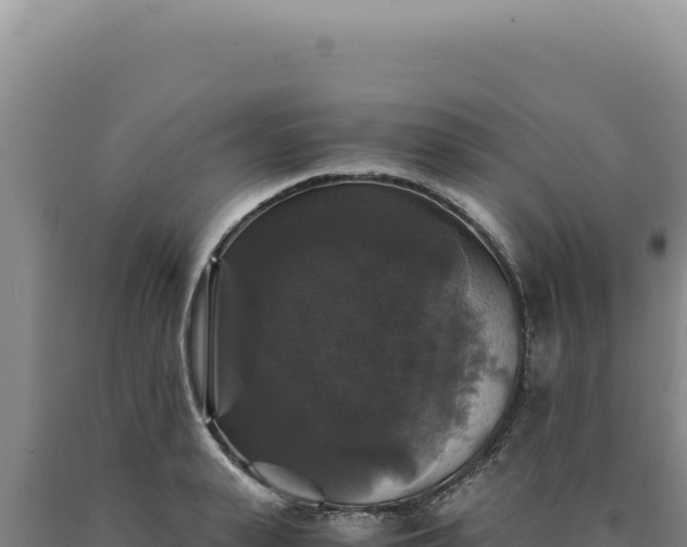 X0000090760943200707271503