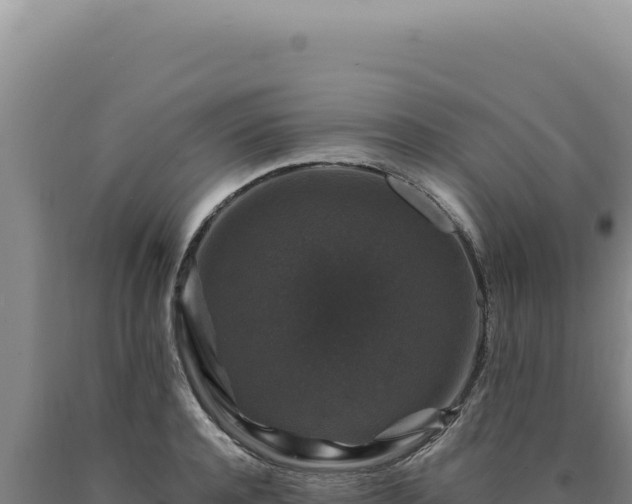 X0000090760944200707271503