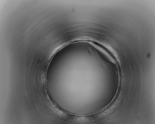 X0000090760945200707271503