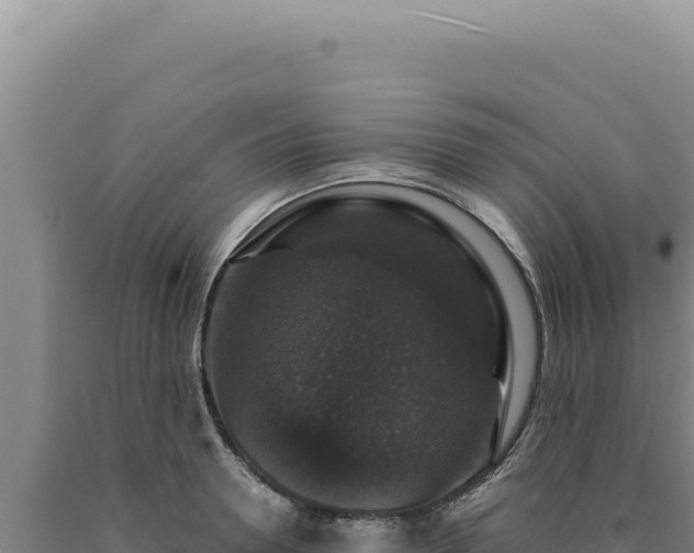 X0000090760946200707271503