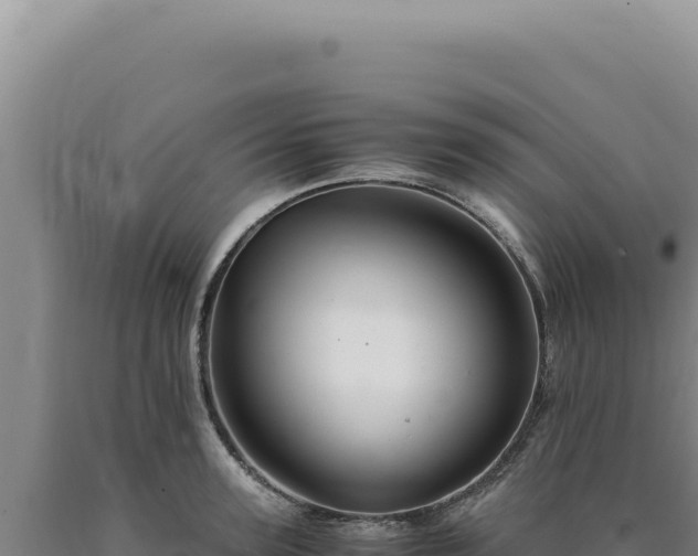 X0000090760947200707271503