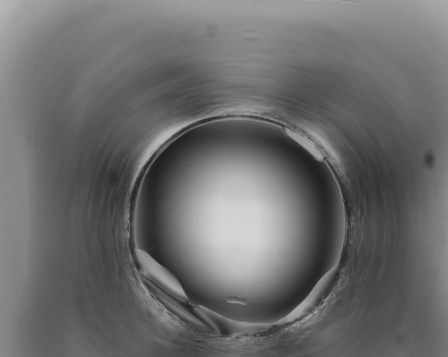 X0000090760948200707271503