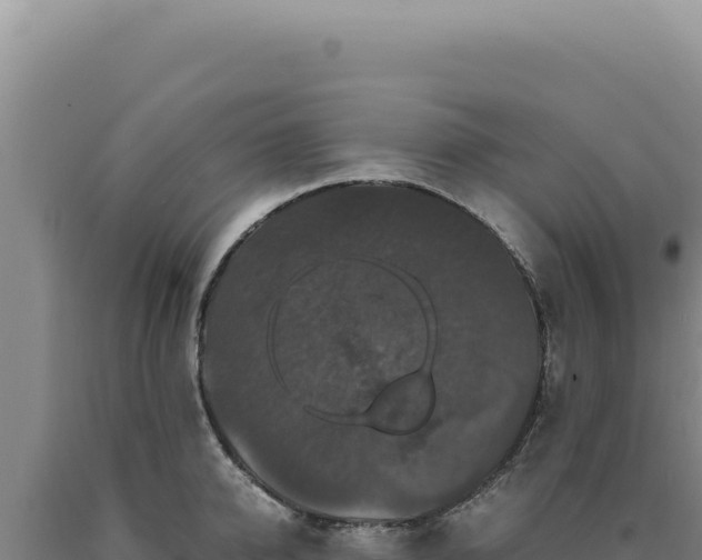 X0000090760950200707271503