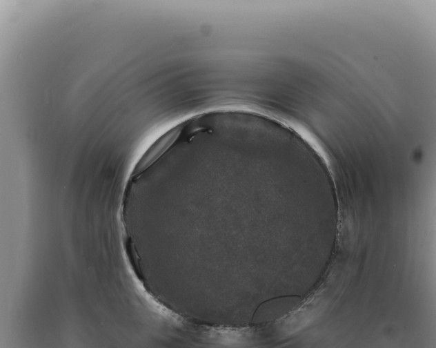 X0000090760951200707271503