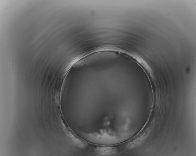 X0000090760953200707271503