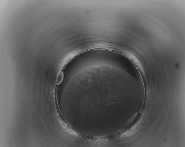 X0000090760954200707271503