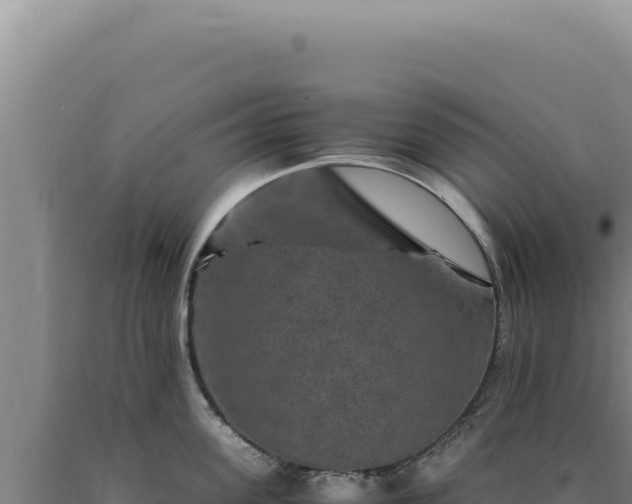 X0000090760955200707271503