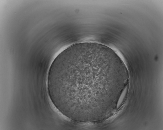 X0000090760957200707271503