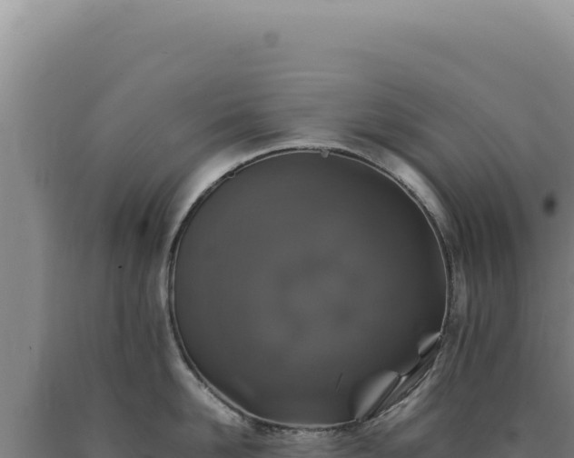 X0000090760958200707271503