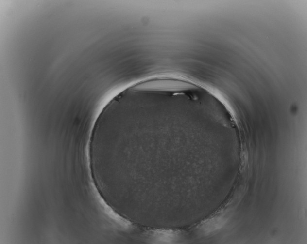 X0000090760959200707271503