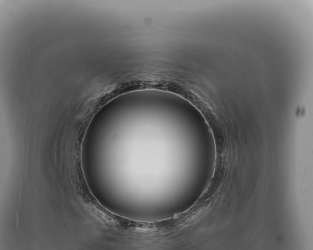 X0000090760961200707271502