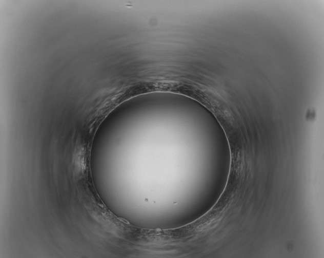 X0000090760962200707271502