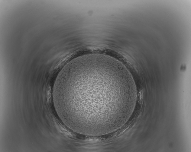 X0000090760963200707271502