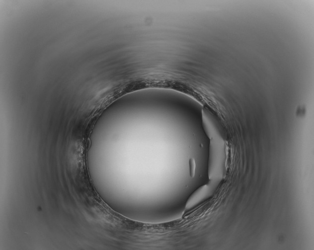 X0000090760964200707271502