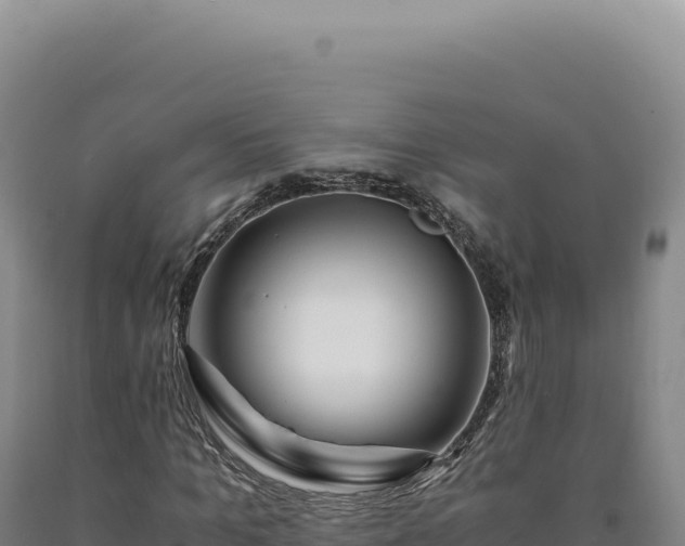 X0000090760965200707271502