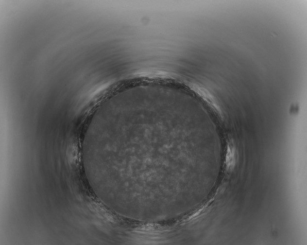 X0000090760966200707271502