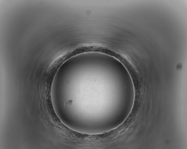 X0000090760967200707271502