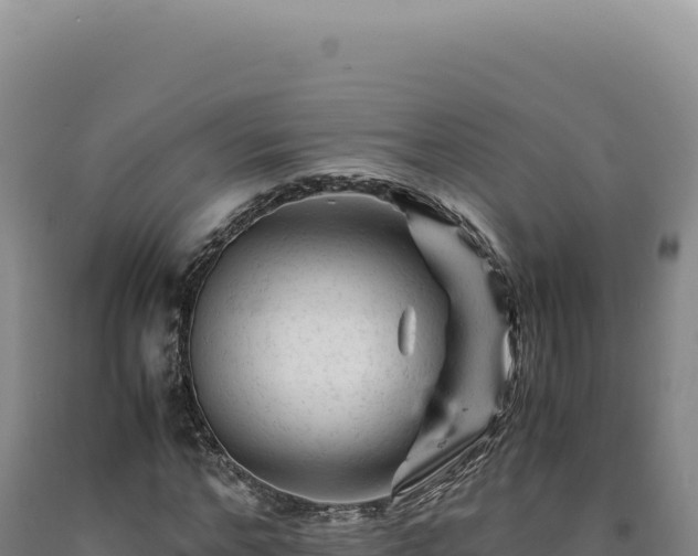 X0000090760968200707271502