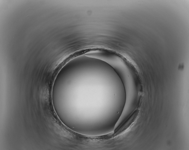 X0000090760969200707271502