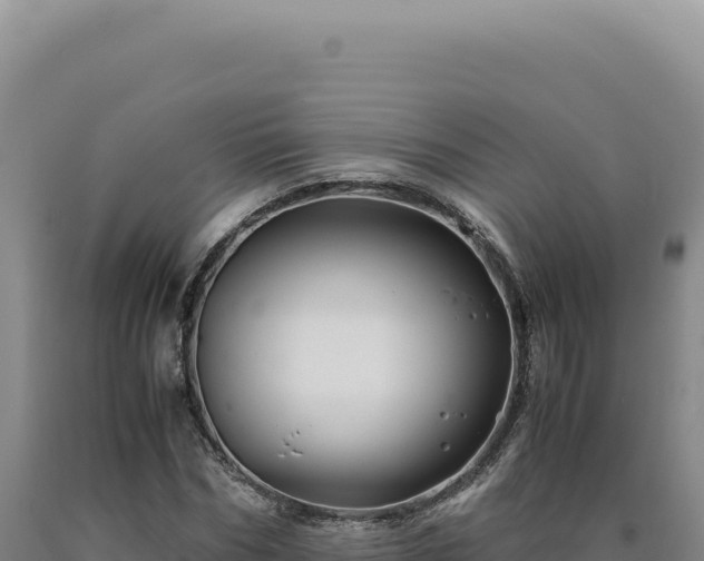 X0000090760970200707271502