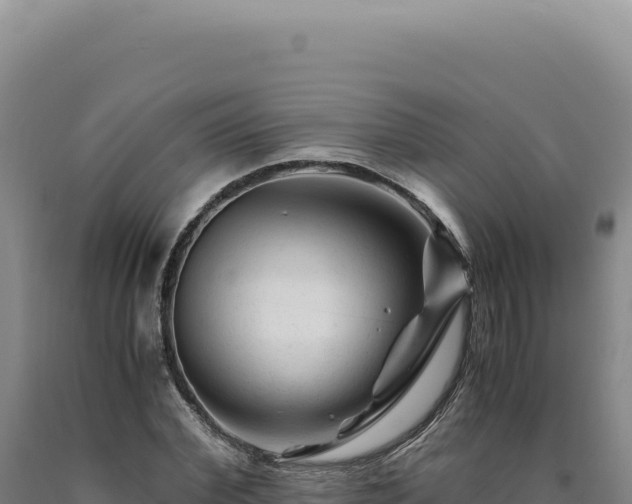 X0000090760972200707271502