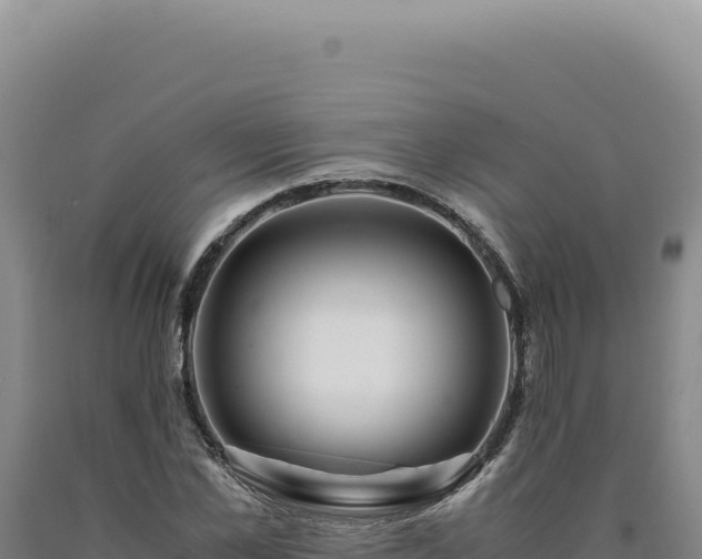 X0000090760973200707271502