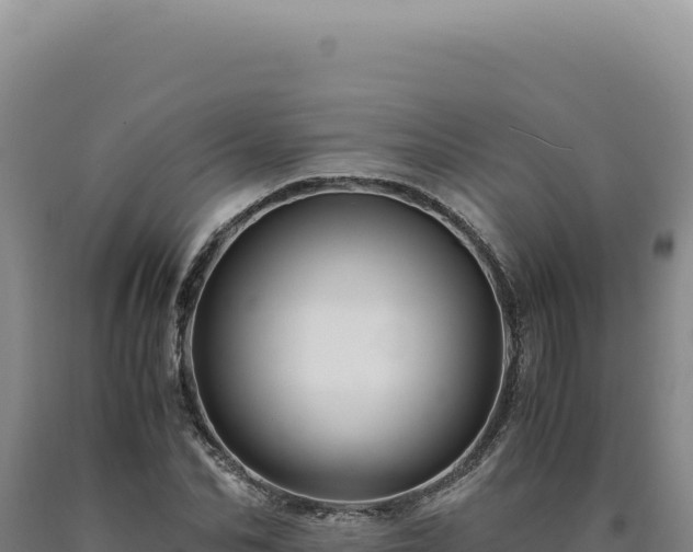 X0000090760974200707271502