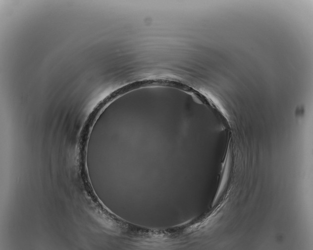 X0000090760975200707271502