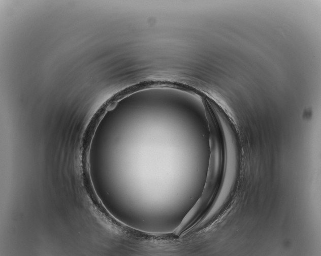 X0000090760976200707271502