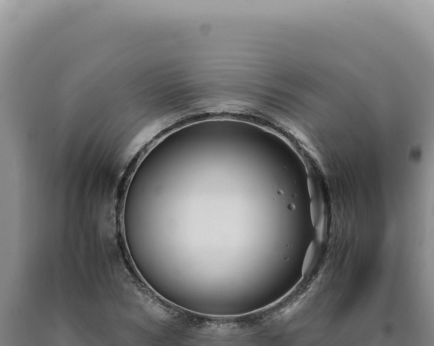 X0000090760978200707271502