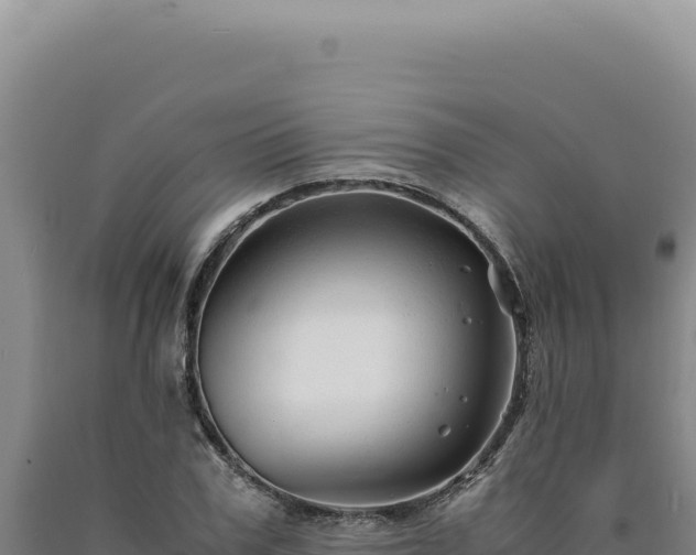 X0000090760979200707271502