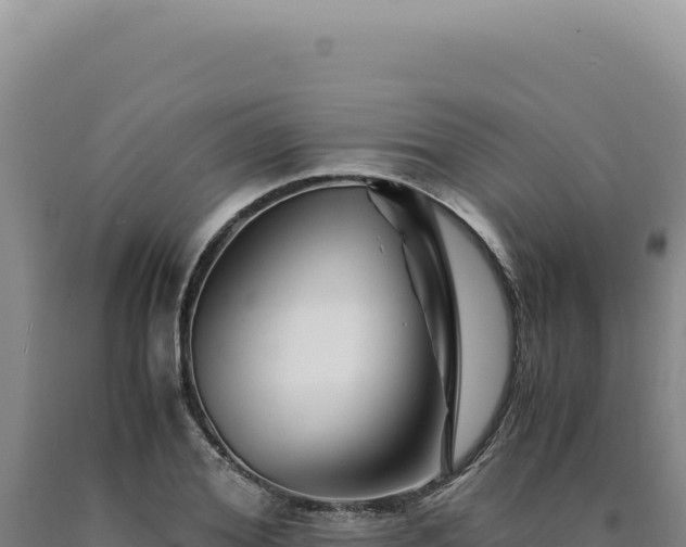 X0000090760980200707271502