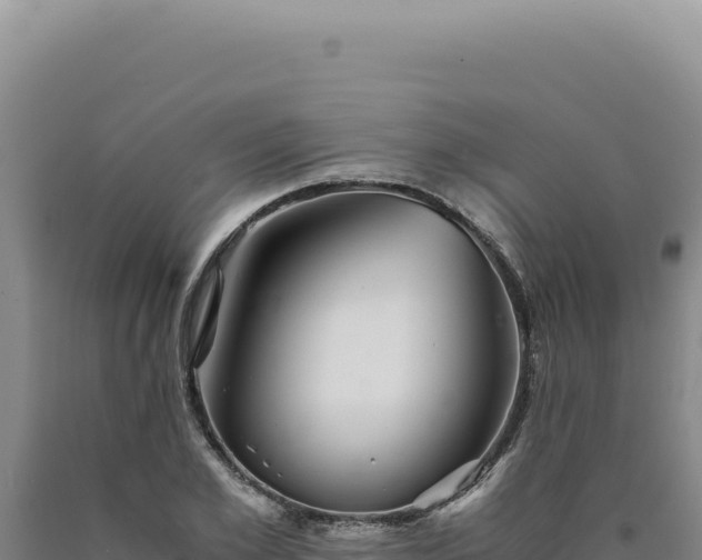 X0000090760981200707271502