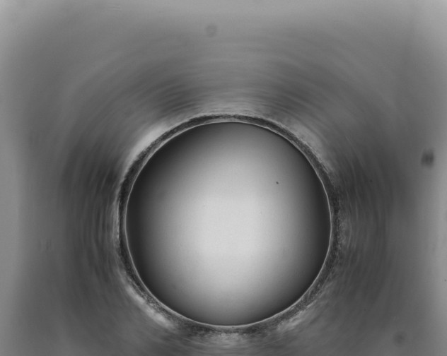 X0000090760982200707271502