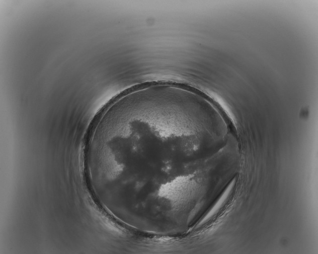 X0000090760983200707271502