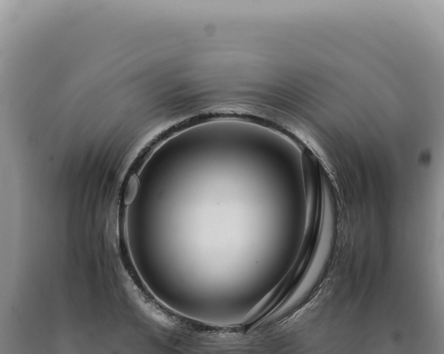 X0000090760984200707271502