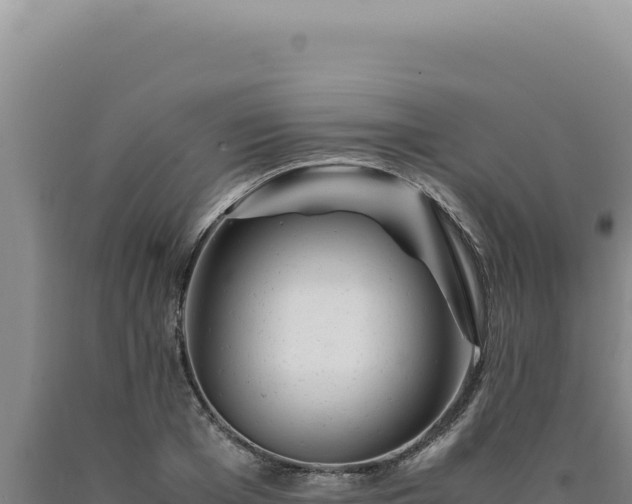 X0000090760985200707271502