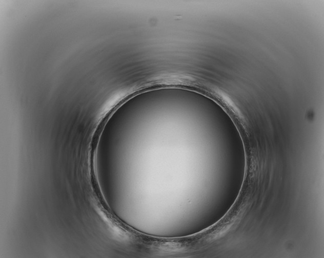 X0000090760986200707271502