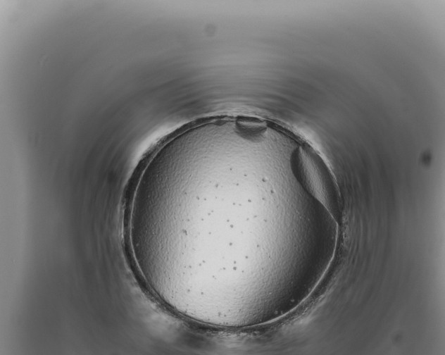 X0000090760987200707271502