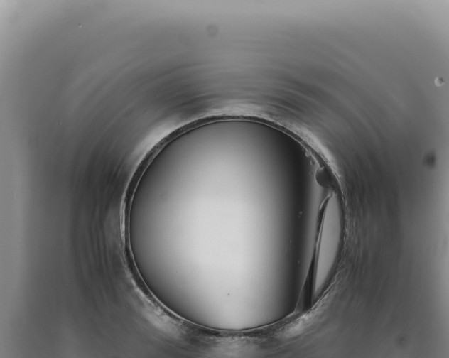 X0000090760988200707271502