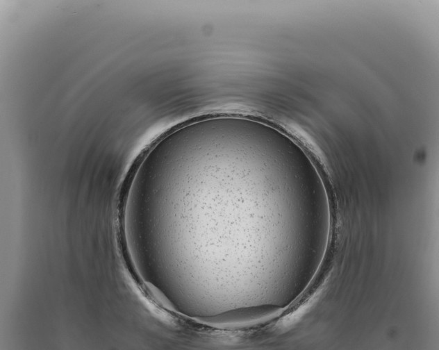 X0000090760989200707271502