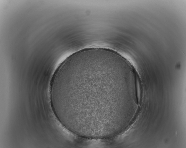 X0000090760990200707271502