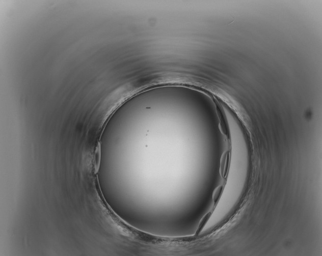 X0000090760993200707271502