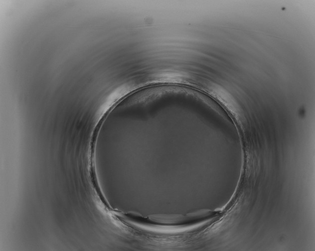 X0000090760994200707271502